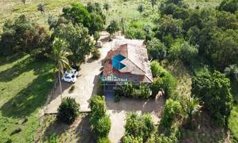 Imagem 2: CHACARA RESIDENCIAL em FEIRA DE SANTANA - BA, NOVO HORIZONTE