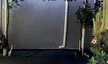 Imagem 7: CASA ASSOBRADADA - LOTEAMENTO NOVA ESPÍRITO SANTO - SP