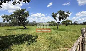 Imagem 4: Fazenda 310 alqueires (1.500,4 hectares) Catalão - GO
