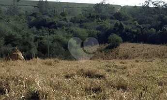 Imagem 2: Sítio com 2 quartos à venda em Área Rural De Itapetininga - SP