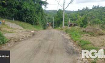 Imagem 3: Terreno em Fiuza