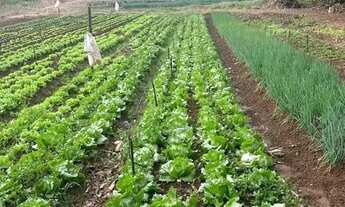 Imagem 4: VENDE - SE CHÁCARA NO SETOR QUINTA DA BOA VISTA, EM GOIÂNIA