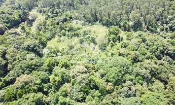 Imagem 6: Amplo terreno à venda na cidade de Picada Café na Serra Gaúcha
