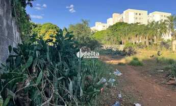 Imagem 4: Área disponível para venda no bairro Chácaras Tubalina E Quartel em Uberlândia-MG