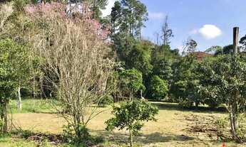 Imagem 5: Terreno para Venda em Nova Petrópolis, Logradouro