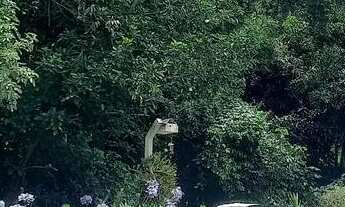 Imagem 4: Chácara em Ibiúna