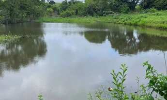 Imagem 3: Chácara à Venda em São Luís de Montes Belos-GO 6 Alqueires