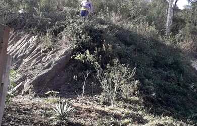 Imagem 7: Chácara em Almirante Tamandaré