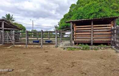 Imagem 4: FAZENDA EM IBIQUERA - 2000 TAREFAS