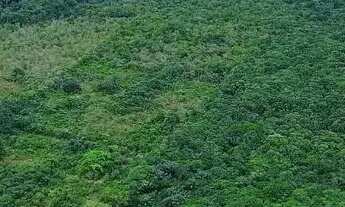 Imagem 5: Imóvel para venda possui 220000 metros quadrados em Centro - Iranduba - AM