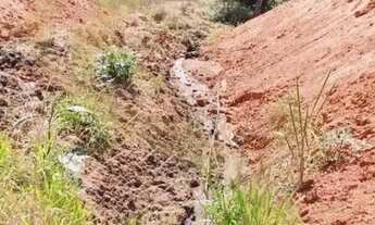 Imagem 6: Chegou a oportunidade que você esperava para investir no agronegócio!