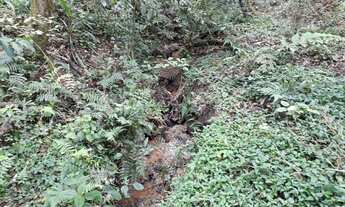 Imagem 3: Chácara na roseira de campo largo sjp