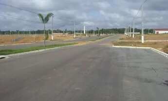 Imagem 3: Nova Amazonas com lotes prontos para construir