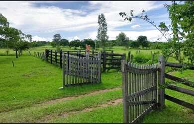 Imagem 5: Sítio 3km do parque Novo Mato Grosso