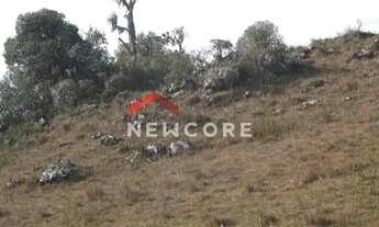 Imagem 4: Lote em Estrada Faz do Baú -juá - Interior - São Francisco de Paula/RS