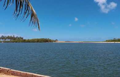 Imagem: ARRA NOVA vendo TERRENO com 10.000 m²