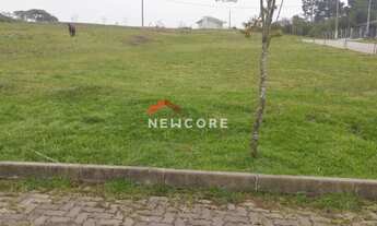 Imagem 2: Lote em Benjamin Constant - Cipó - São Francisco de Paula/RS