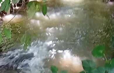 Imagem 4: Fazenda no municipio de Niquelandia perto da cerra da mesa