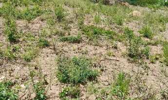 Imagem 3: Terreno à venda, 2330 m² por R$ 795.000,00 - Condomínio Jardim Primavera - Louveira/SP