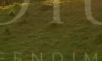 Imagem 6: 85T- TERRENO COM ÁREA TRANQUILA E ARBORIZADA