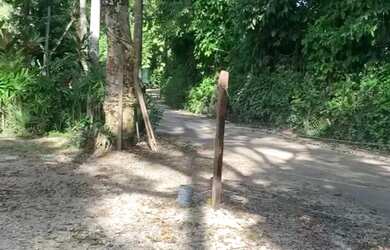 Imagem 2: Terreno comercial, 1000 metros Vargem