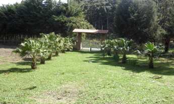 Imagem 2: Sítio 40.000 m2 em Camanducaia-MG