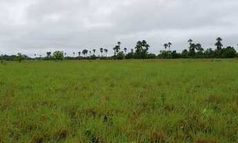 Imagem 5: Fazenda de 1050 hectares Bonfim/RR, ler descrição do anuncio