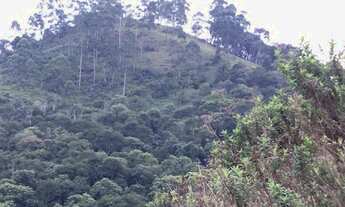 Imagem 7: Bela Propriedade 12 Alqueires Ou seja 29 Hectare - Igarata SP