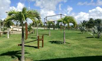 Imagem 3: Lote no Maikai \