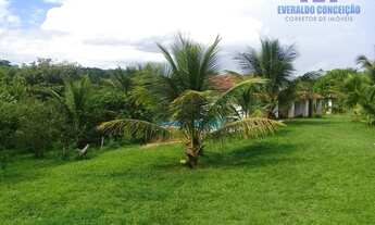 Imagem: Itapé - Fazenda