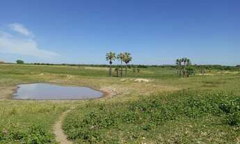 Imagem: Fazenda no vale do Açu com 627 hectares