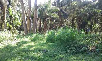 Imagem 2: Terreno a venda na Serra da Cantareira, Parque Petrópolis 1.300 m², boa topografia, Mairip