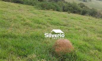 Imagem 4: Área à venda, 70000 m² por R$ 500.000,00 - Anhuma - Brasópolis/MG