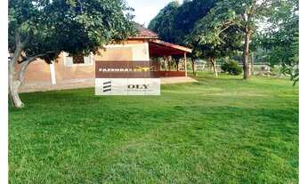 Imagem 2: Oportunidade ! Fazenda Extra Região de Iporá ! 32 Alqueires !