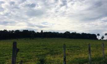 Imagem 2: Sitio em cassia dos coqueiros 12 alqueires 2.000.000.00 ( agn