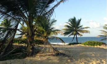 Imagem 7: Terreno com 16,3 ha e 300 metros de praia em Sítio do Conde, Bahia
