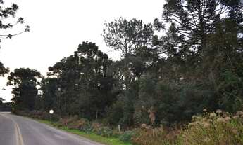 Imagem 6: Área à venda, 100000 m² por R$ 4.899.000,00 - Mato Queimado - Gramado/RS