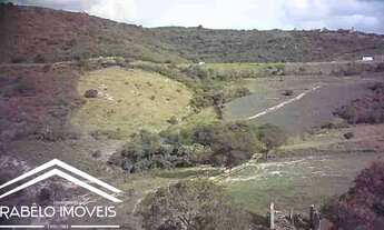 Imagem 2: Fazenda em Gravatá com 57 hectares