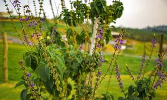 Imagem 3: Terrenos de mil metros direto com a incorporadora em até 120 meses!!