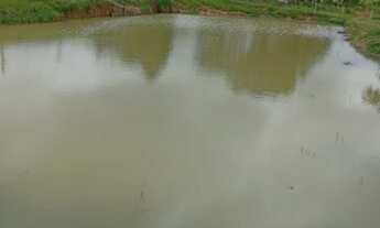 Imagem 5: FAZENDA DE 42 ALQUEIRES 20 KM DE COLNIZA MATO GROSSO