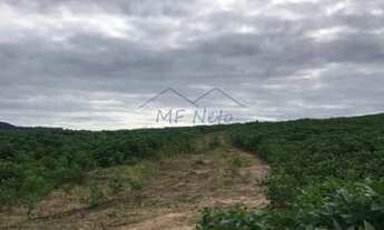 Imagem 6: Sítio, Zona Rural, Analândia - R$ 3.5 mi, Cod: 10132475