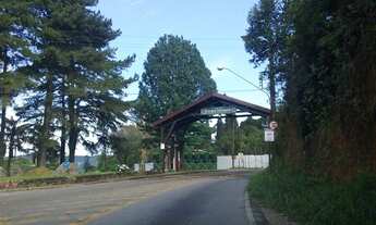 Imagem: Terreno a venda na Serra da Cantareira