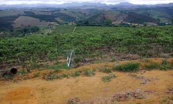 Imagem 5: Vendo lindo sítio