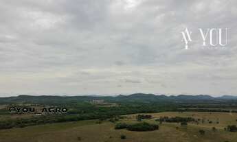 Imagem 7: Fazenda no Município do Peixe-Tocantins, toda formada em pastagem, com 2.300 cabeças de ga