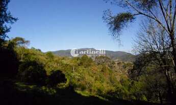 Imagem 3: Campos do Jordão - Loteamento/Condomínio - indeterminado