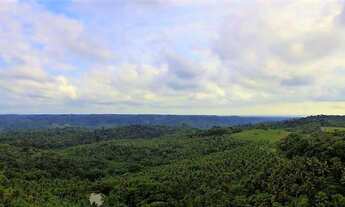 Imagem 2: Lote/Terreno para venda com 19500 metros quadrados em CEASA - Salvador - BA