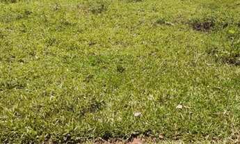 Imagem 3: Fazenda/Sítio/Chácara para venda com 1597200 metros quadrados com 3 quartos