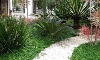 Imagem 3: Apartamento - Parque Mandaqui - Venda