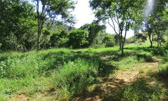 Imagem: Linda área São Francisco Xavier /Rio do