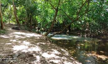 Imagem 5: Área em Rio Quente as margens Da GO 507